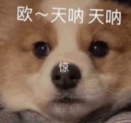 泰國商標(biāo)注冊多少錢_注冊泰國商標(biāo)多少錢_商標(biāo)泰國注冊錢能退嗎