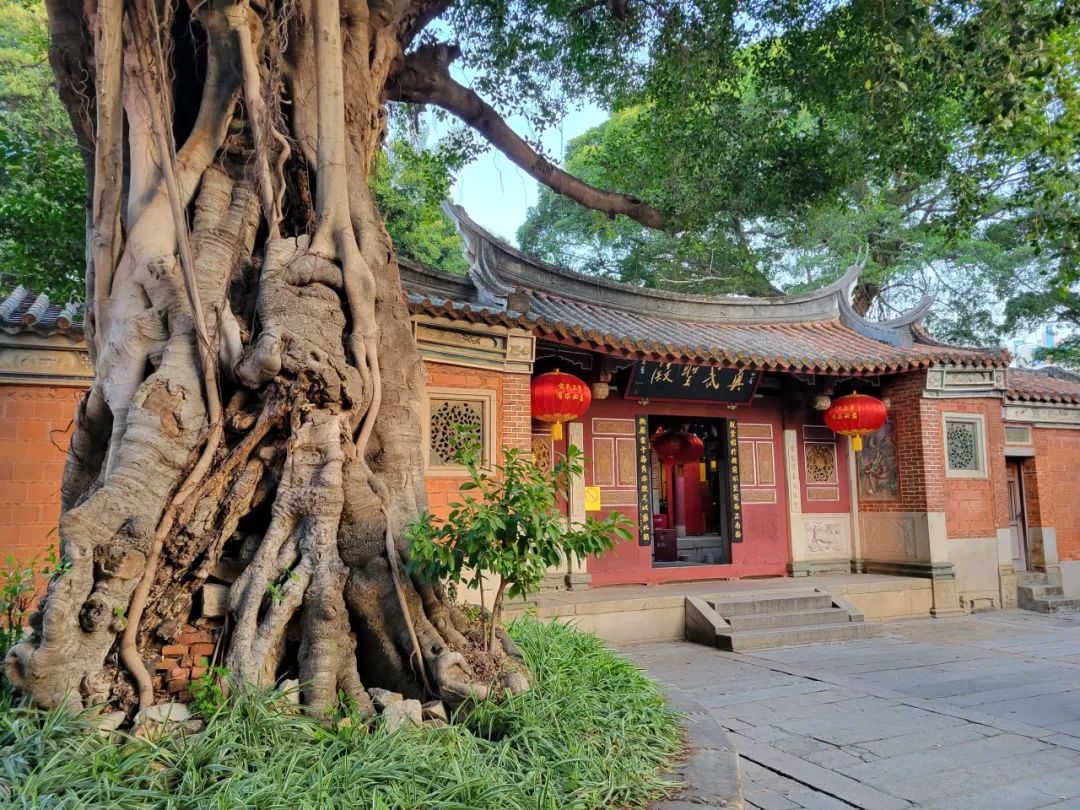 泉州清源山景點講解_泉州旅游清源山_泉州清源山上山攻略