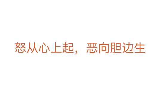 怒從心上起,惡向膽邊生
