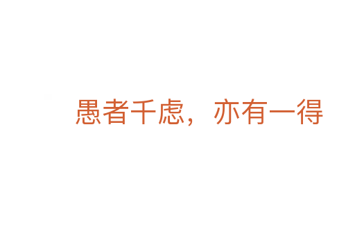 愚者千慮，亦有一得