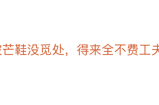 踏破芒鞋沒覓處,得來全不費(fèi)工夫