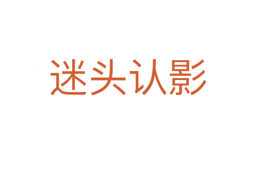 迷頭認(rèn)影