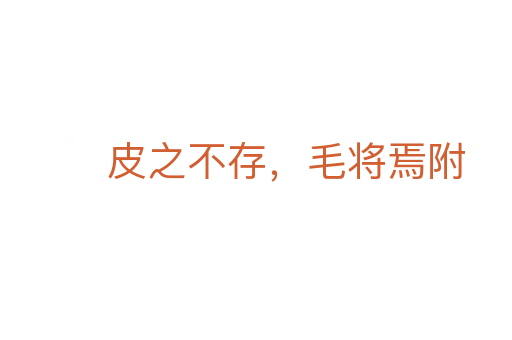 皮之不存,毛將焉附