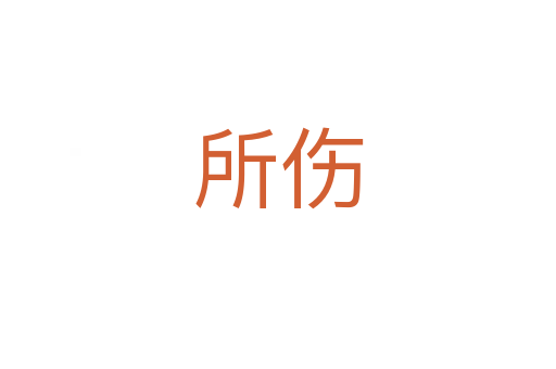 所傷