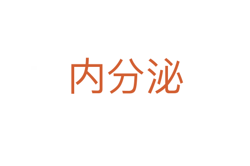 內分泌