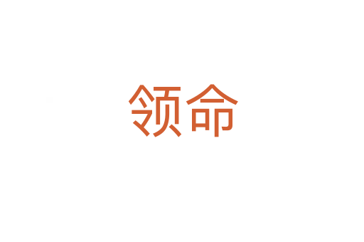 領命