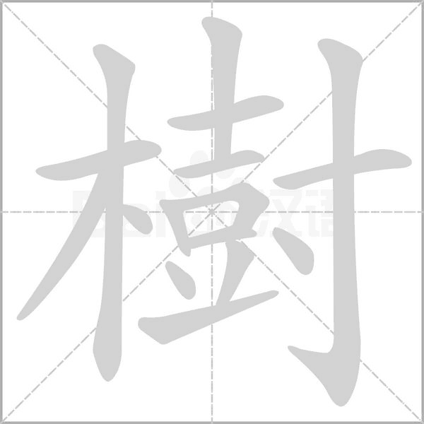 樹(shù)的筆順動(dòng)畫(huà)演示