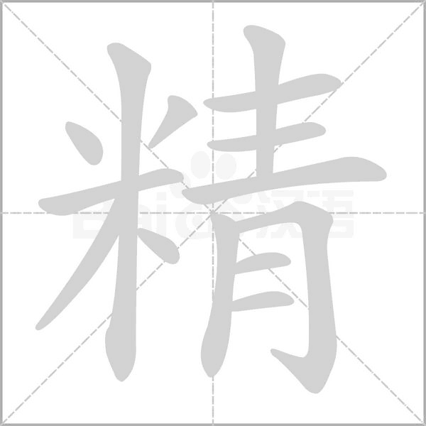 精的筆順動(dòng)畫(huà)演示