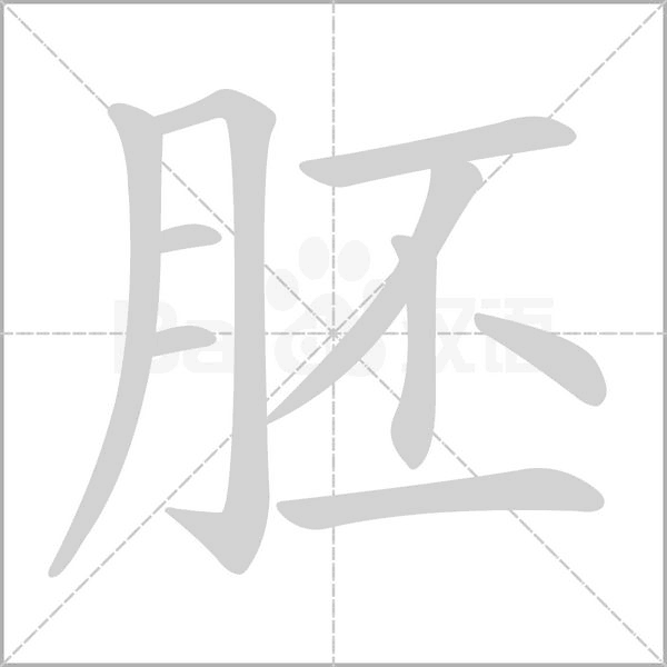 胚的筆順動畫演示