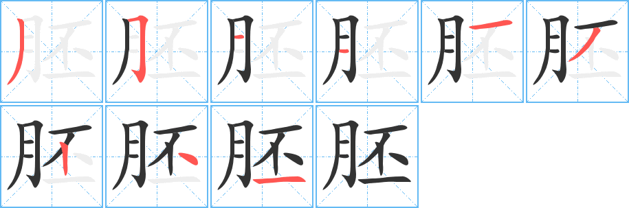 胚的筆順分步演示
