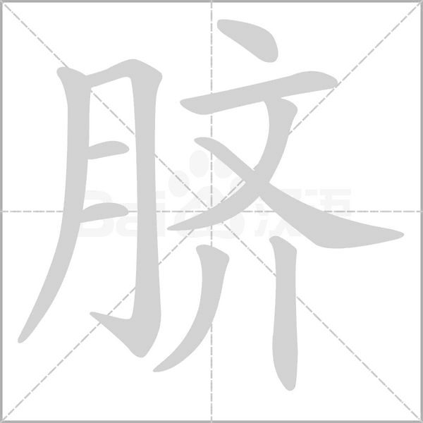 臍的筆順動畫演示