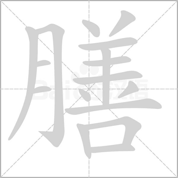 膳的筆順動畫演示