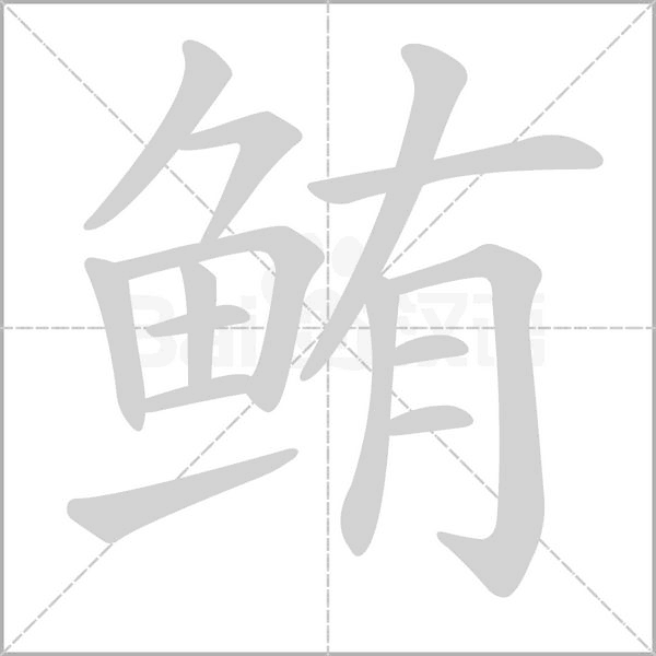鮪的筆順動畫演示