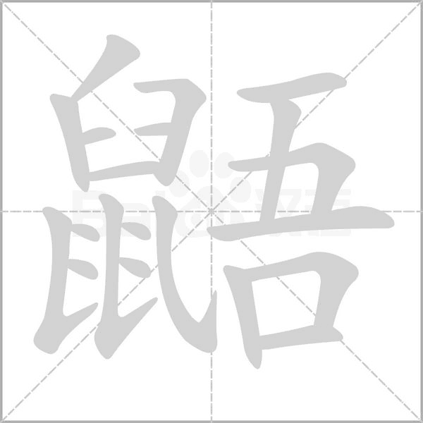鼯的筆順動(dòng)畫演示