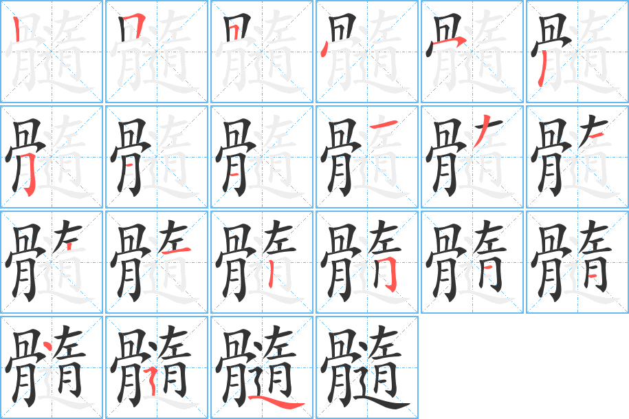 髓的筆順分步演示