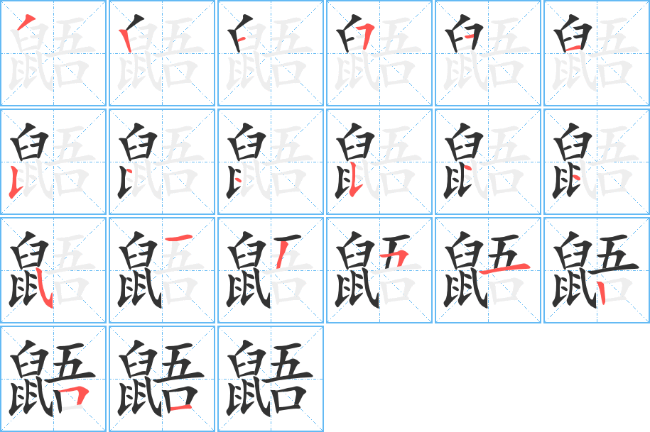 鼯的筆順分步演示